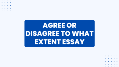 agree or disagree to what extent
