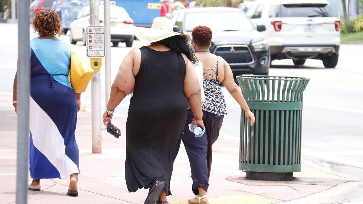problem of obesity essay