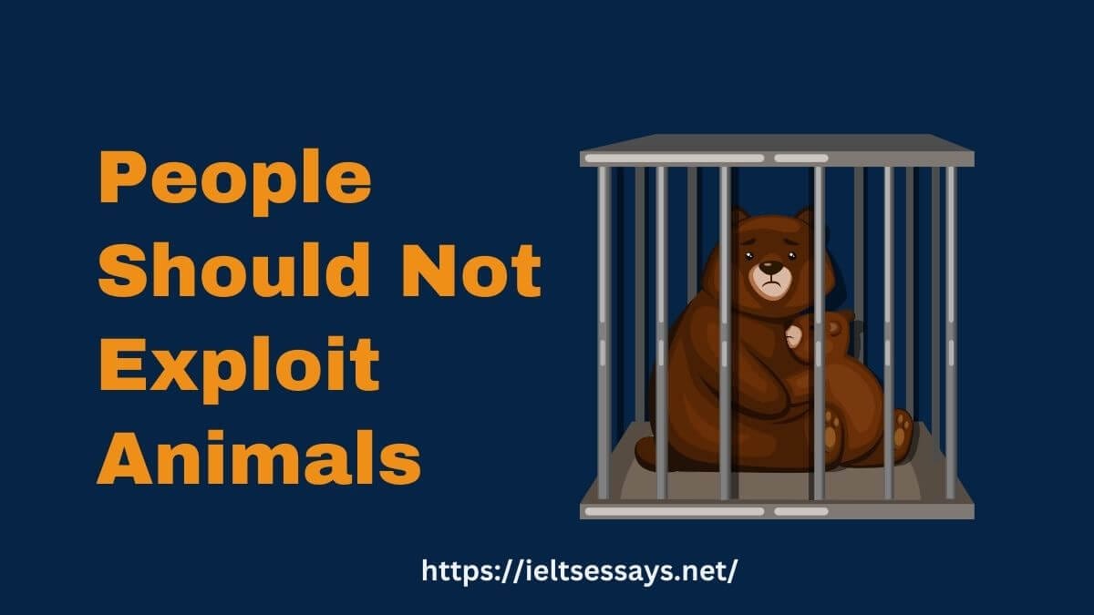 animal exploitation essay