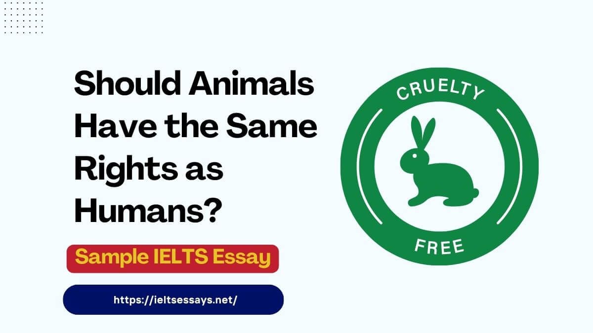 animal rights ielts essay