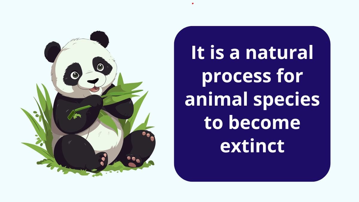 animal species to become extinct