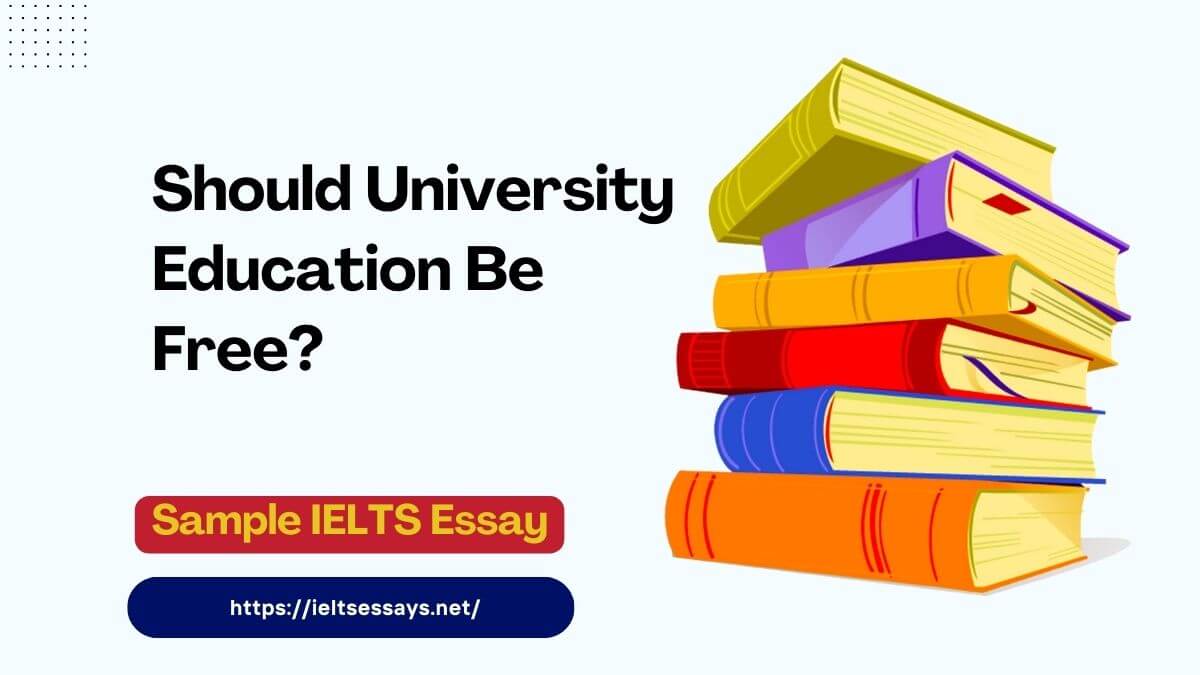 free university education
