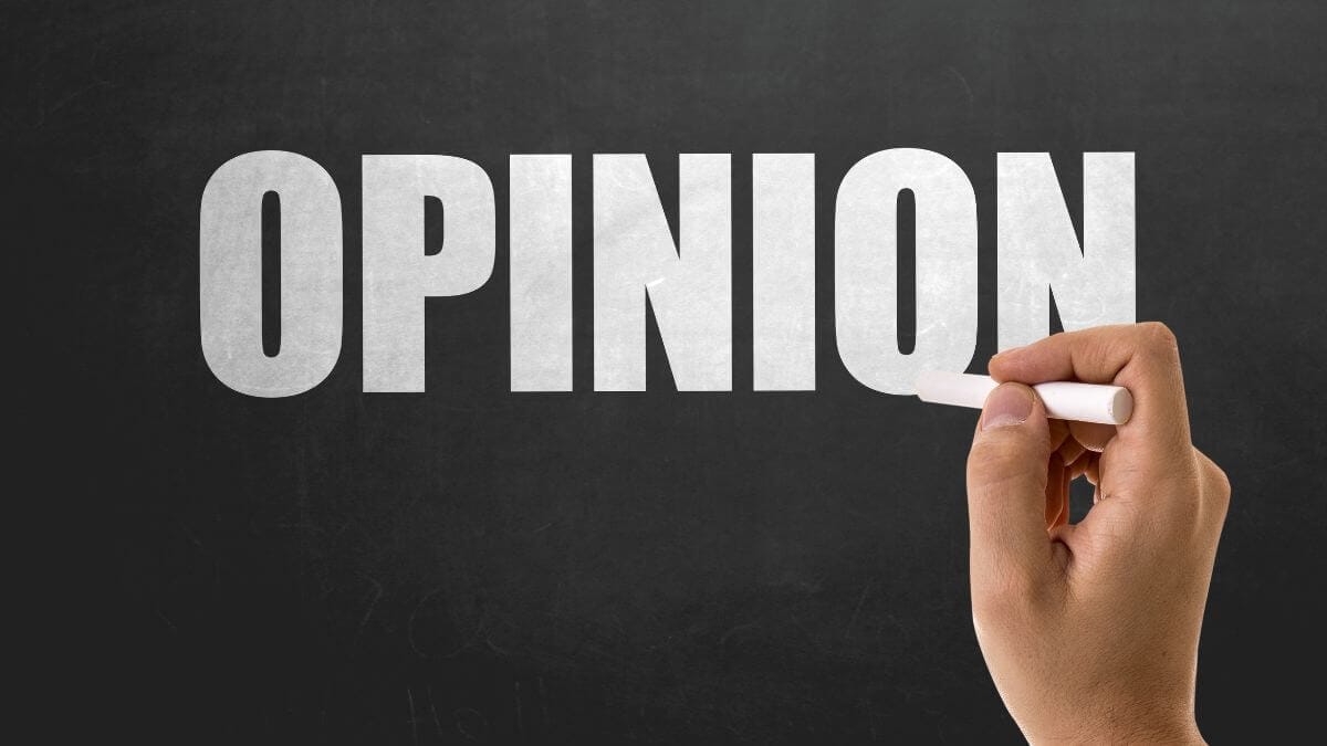 opinion essay sample