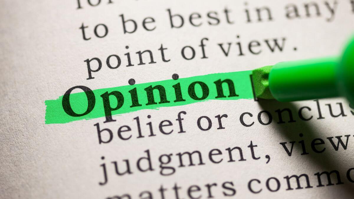 opinion essay