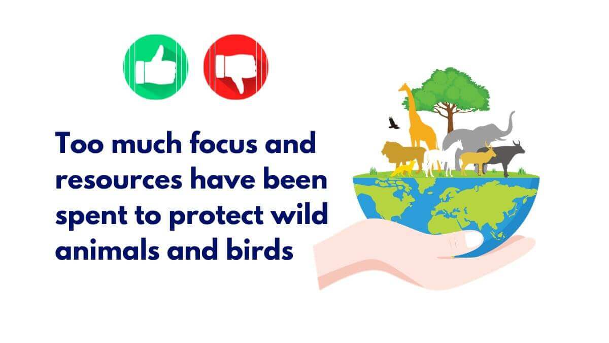 protect wild animals